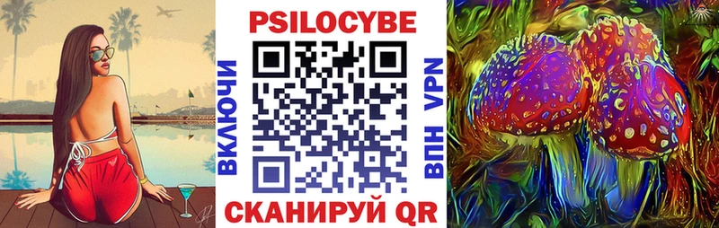 omg маркетплейс Новозыбков Псилоцибиновые грибы прущие грибы